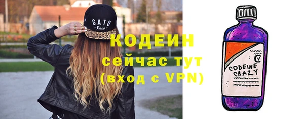 дживик Билибино
