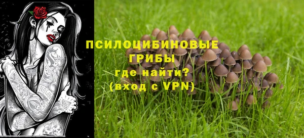 спиды Михайлов