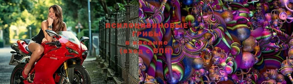 мдма Михайловск