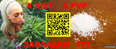 кокаин Гатчина