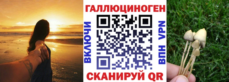 Галлюциногенные грибы MAGIC MUSHROOMS  Десногорск 