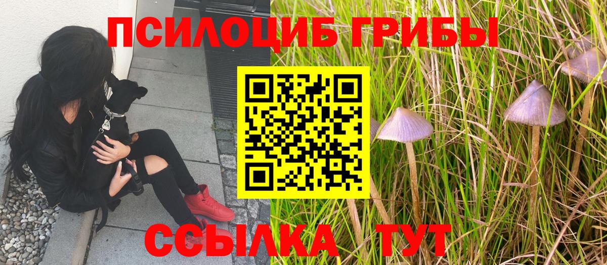 Псилоцибиновые грибы мухоморы Десногорск